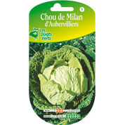 chou de milan d-aubervilliers